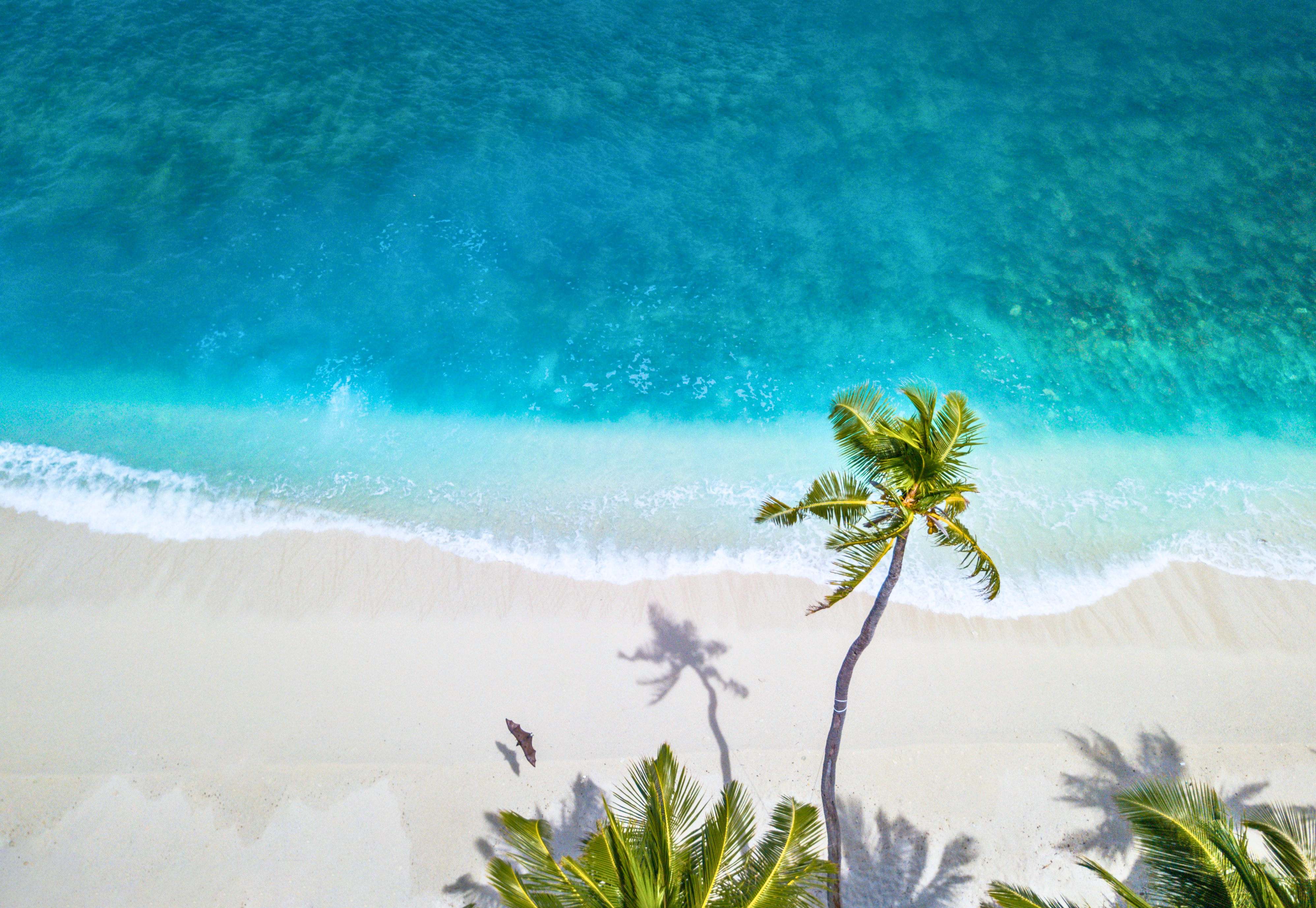 Thulusdhoo